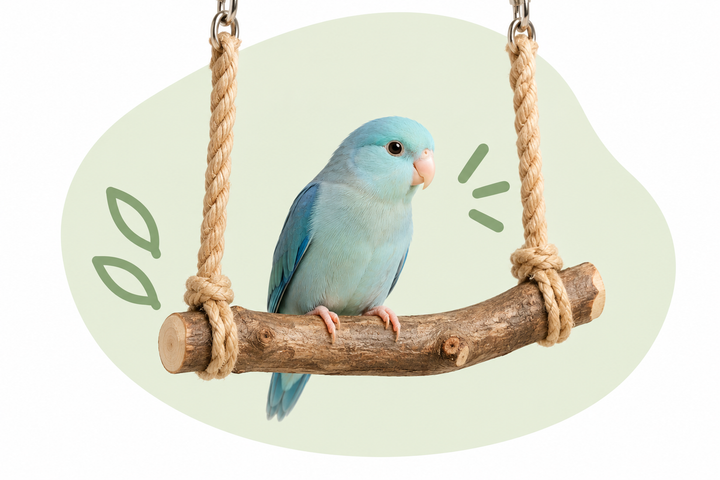 Collection title